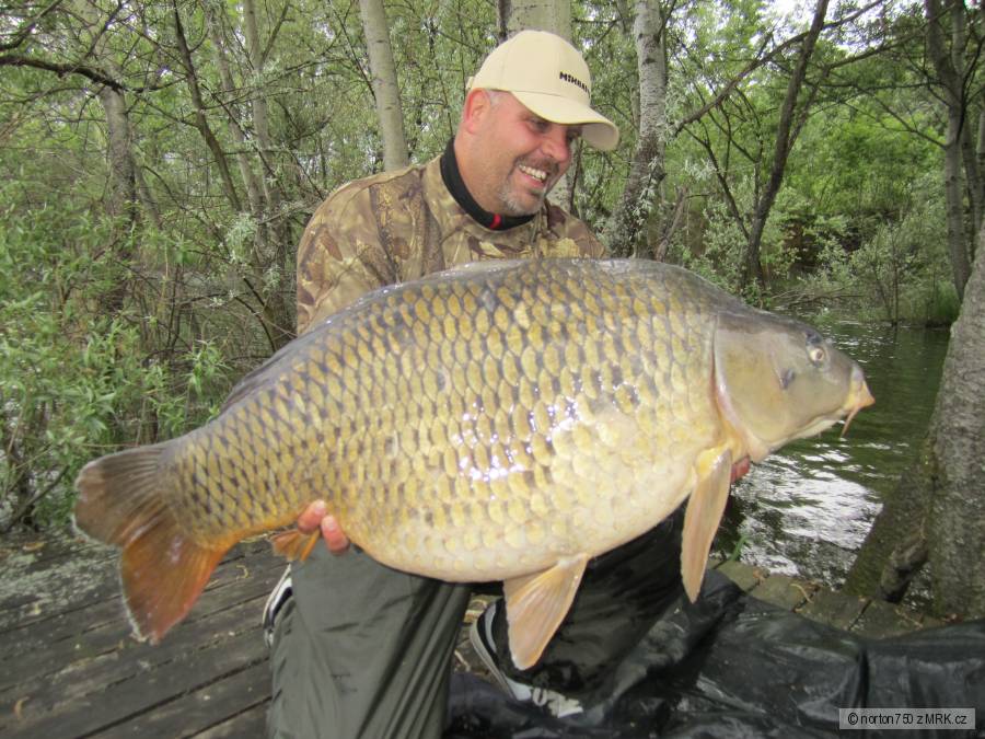 kapr 20.5kg