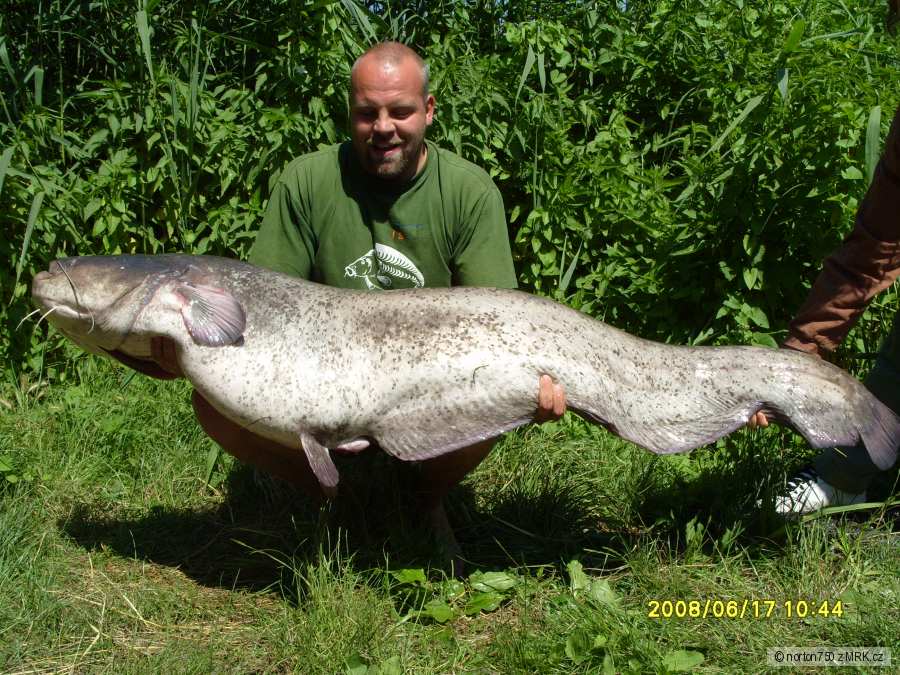 sumec 185cm dyje 7