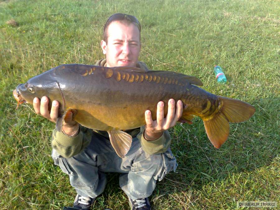 carp