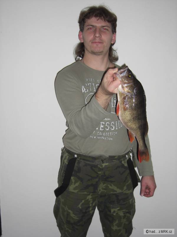 40 cm