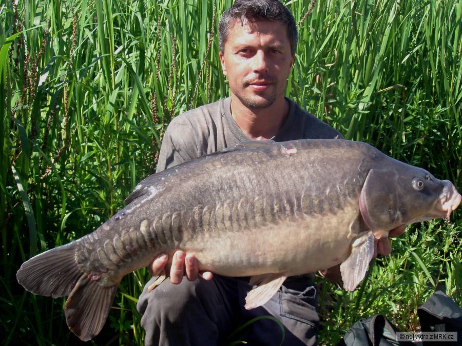 Jarní řádkáč