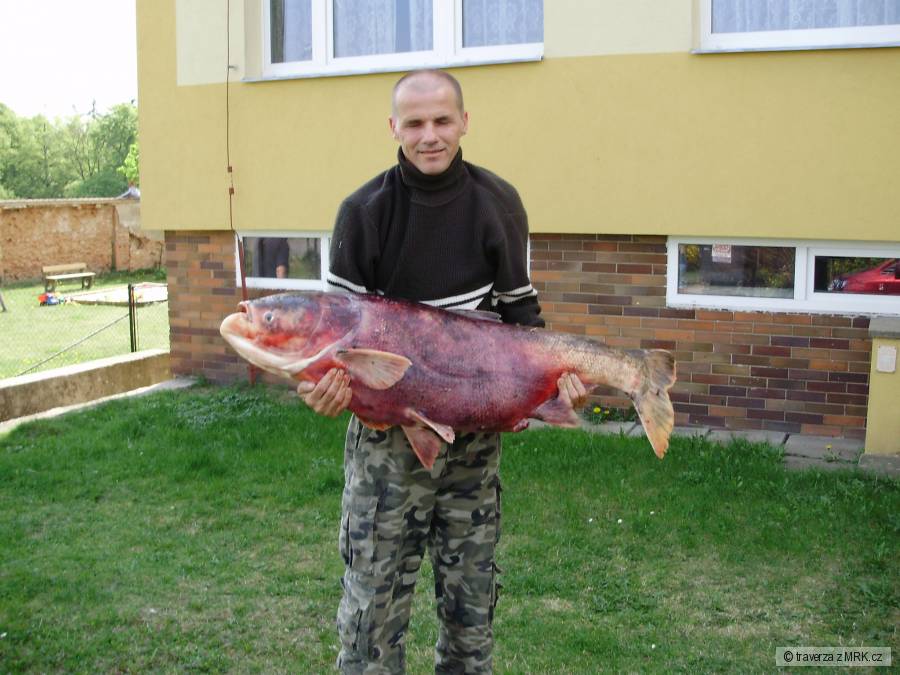 Řehačka 2011