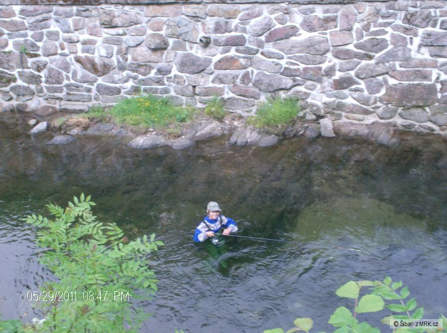 Brodění
