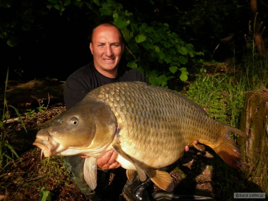 Orlík 92cm, 19kg