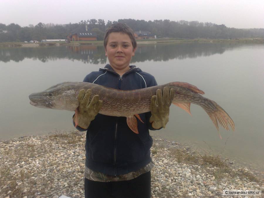 šťuka 105 cm 10 kg