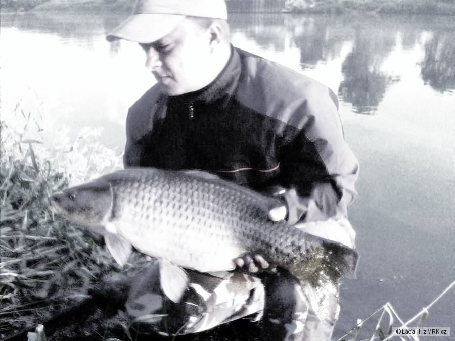 4.6.2011 kapřík 70cm Labe