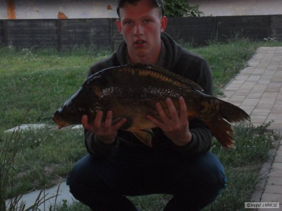 68, 7 kg