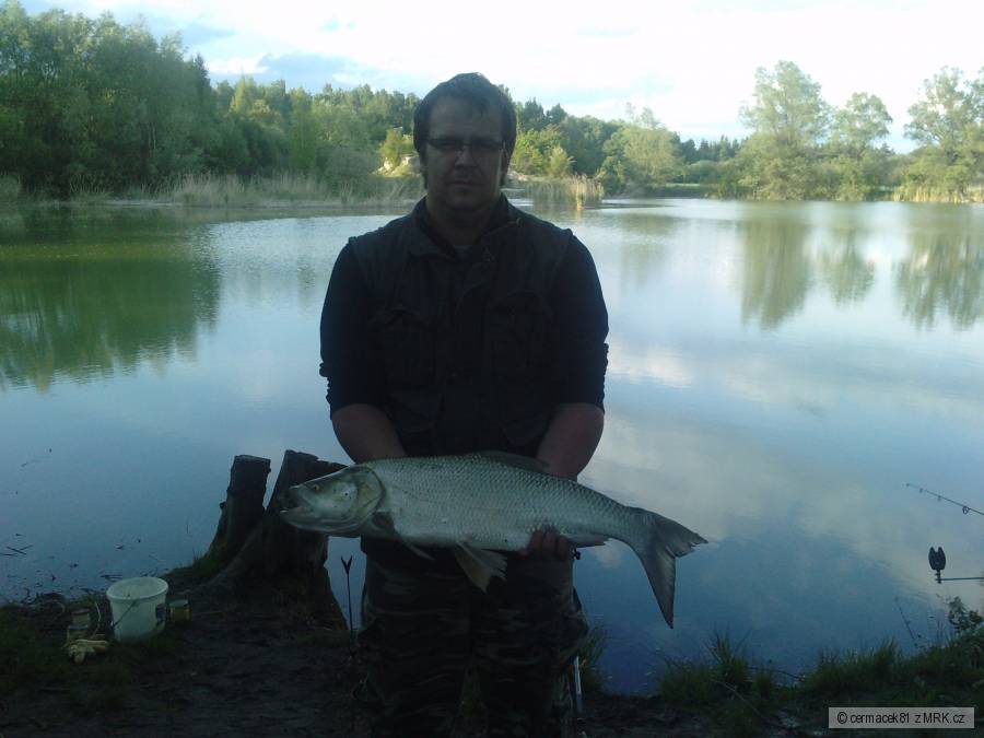 Bolen 78cm
