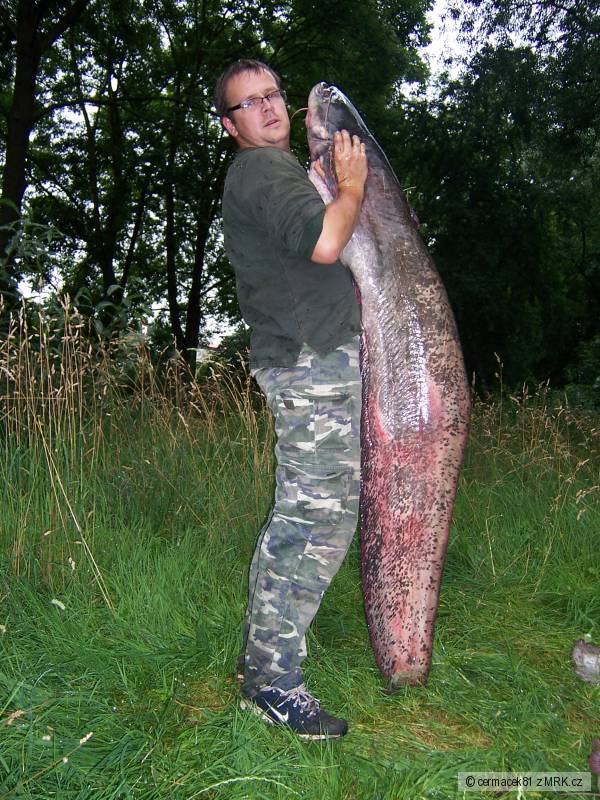 Sumec 184cm