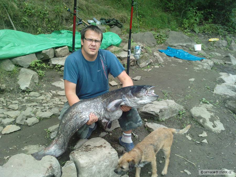Sumec 130cm.