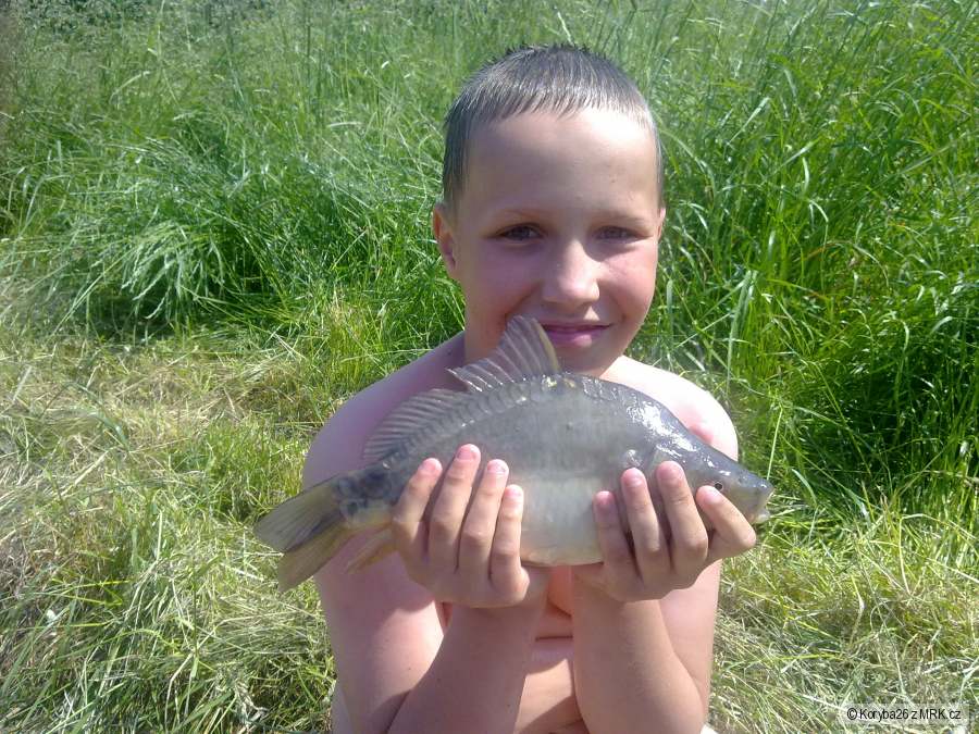 mini kapřík