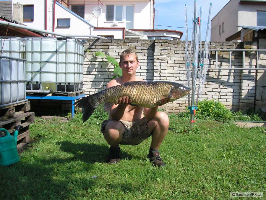 Amur 100.cm
