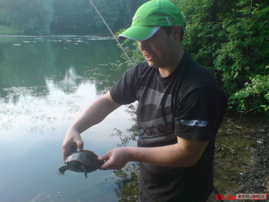 Želva z Větřkovic & BOHY