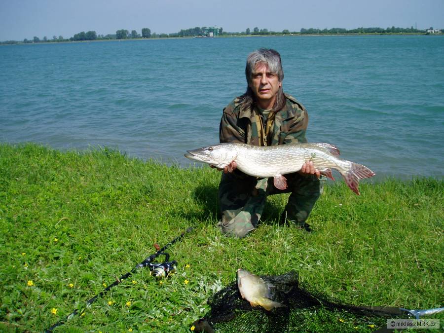 Štika