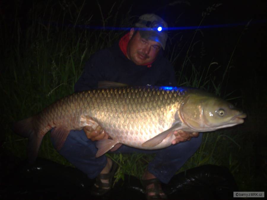 Amur 108cm-15,6kg