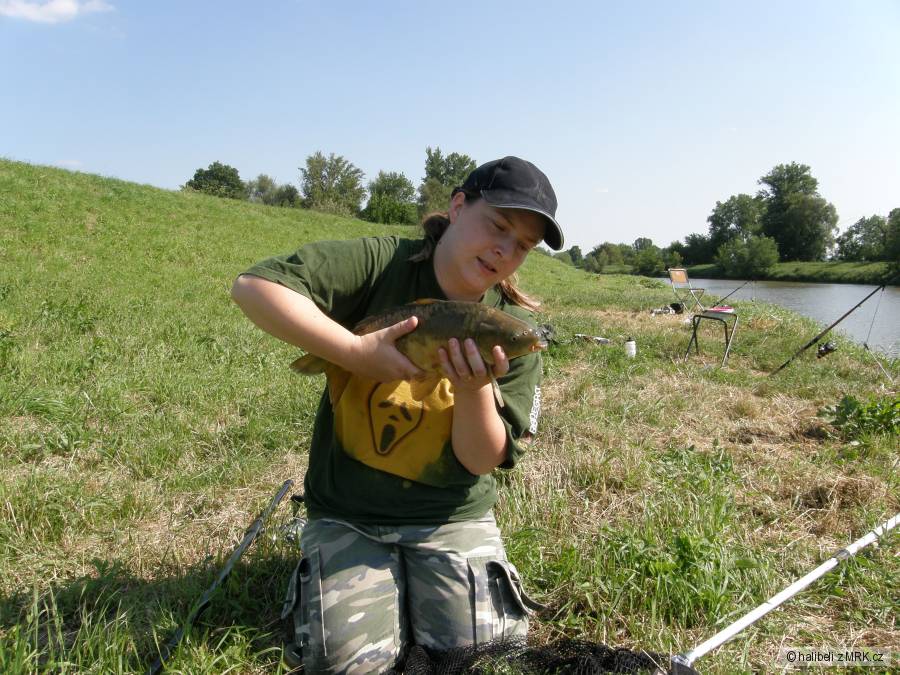 lysec Morava 8