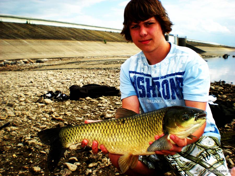Amurek 66cm :)