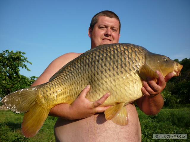Kapřík z Labe