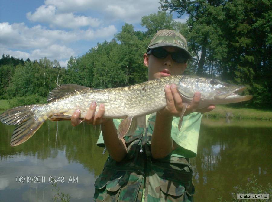 ŠTIKA 71 CM