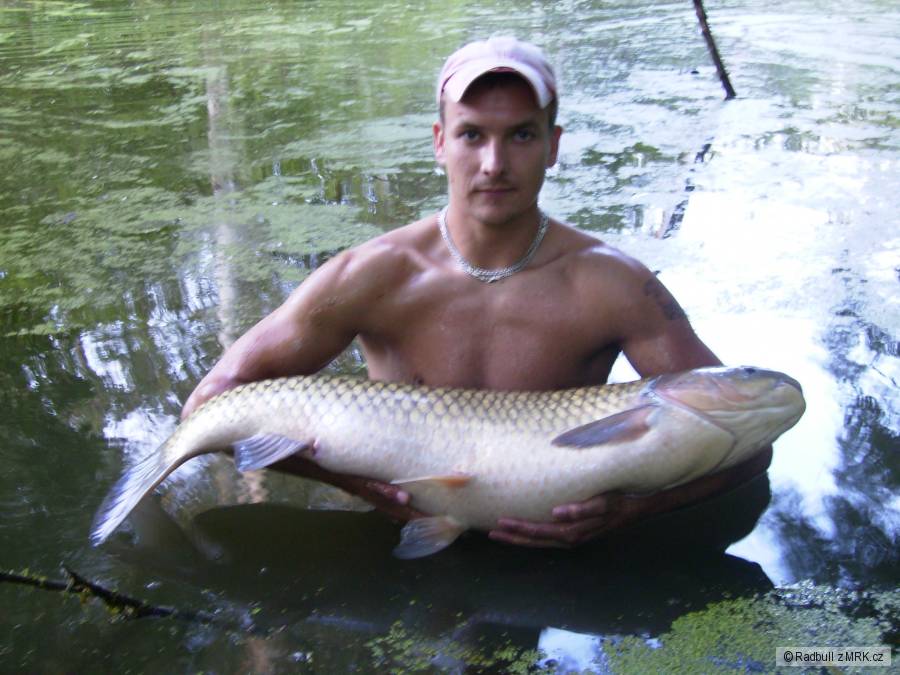 Amur 100.cm.Svazova voda