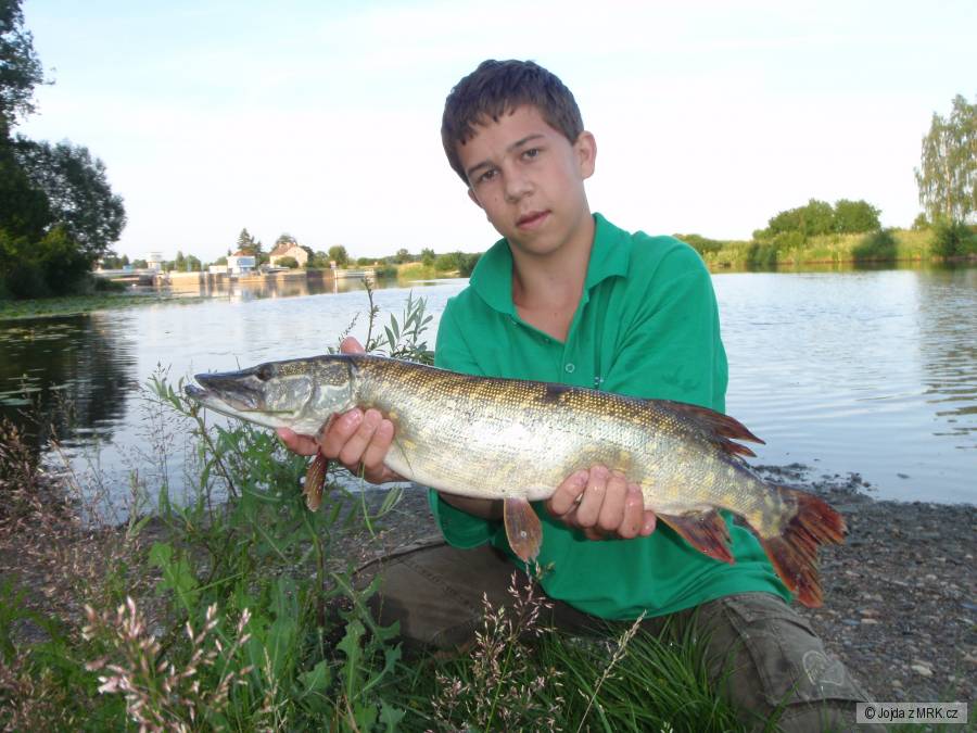 štika 63cm