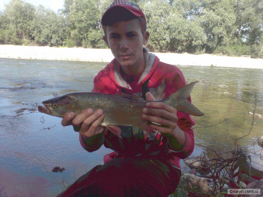 Dnešný 53cm