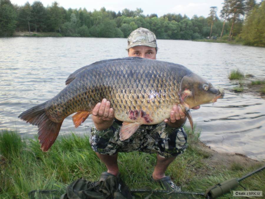 90cm/17kg