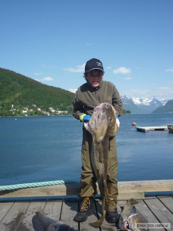 Treska 105 cm