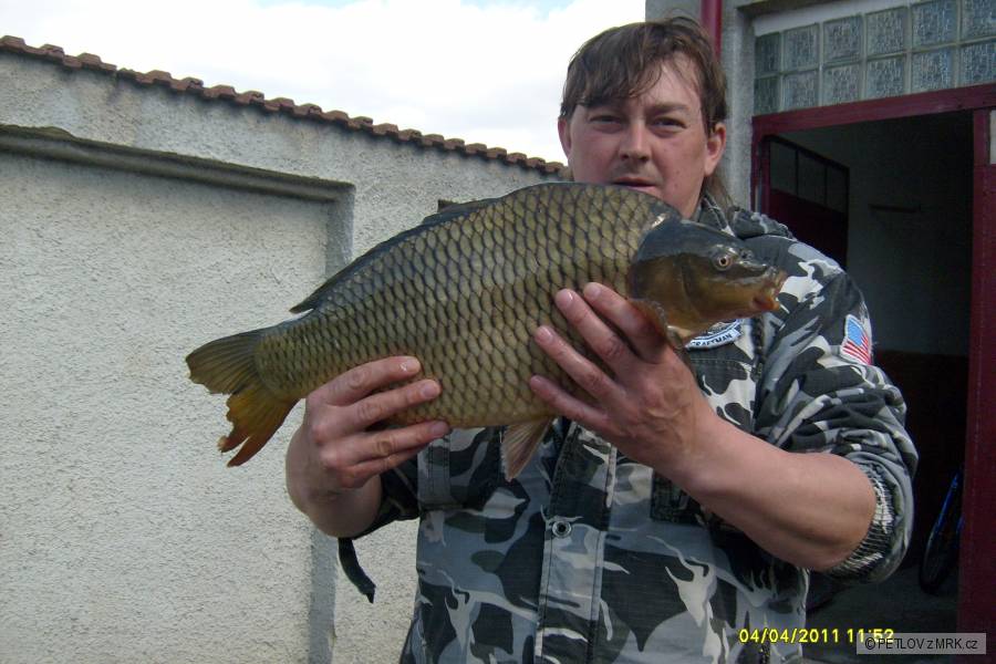 ŠUPÍK 65