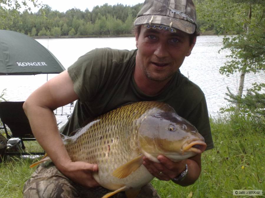 Kapr 78cm, 14 kg