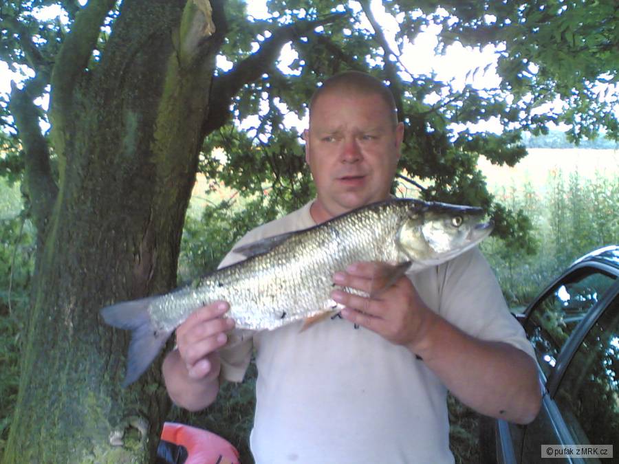 bolen 62cm
