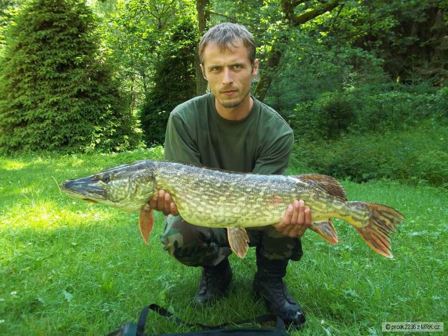 95cm , 8,5kg