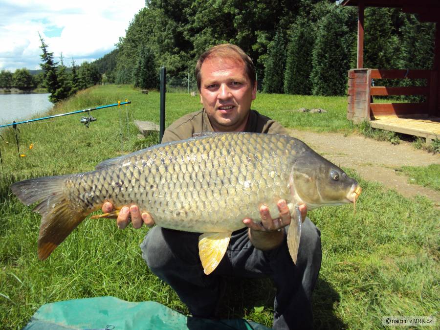 naicim kapr 80 cm, 9,5 kg