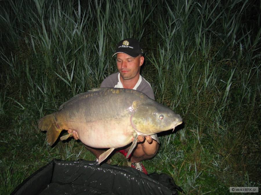 kapr 18,40kg