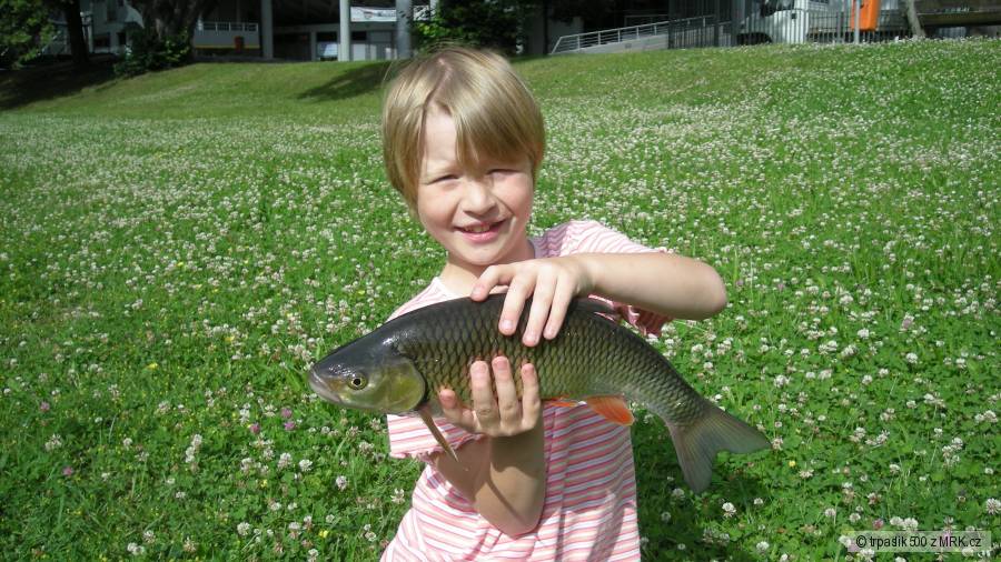 tloušt 44cm
