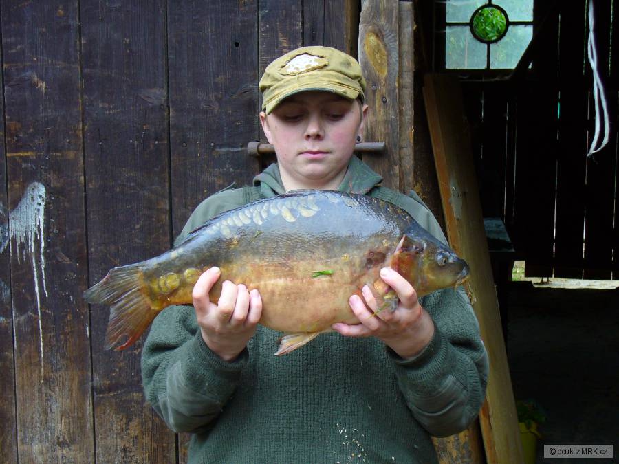 strž 61cm 6kg