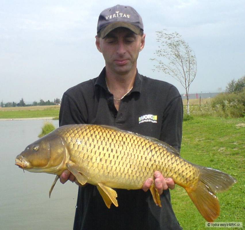 kapřík 70cm