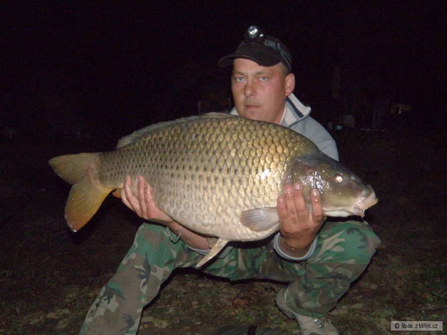 KOBLOV 6/2011
