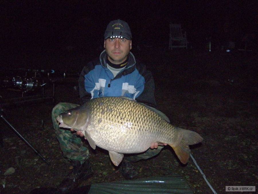 KOBLOV 6/2011