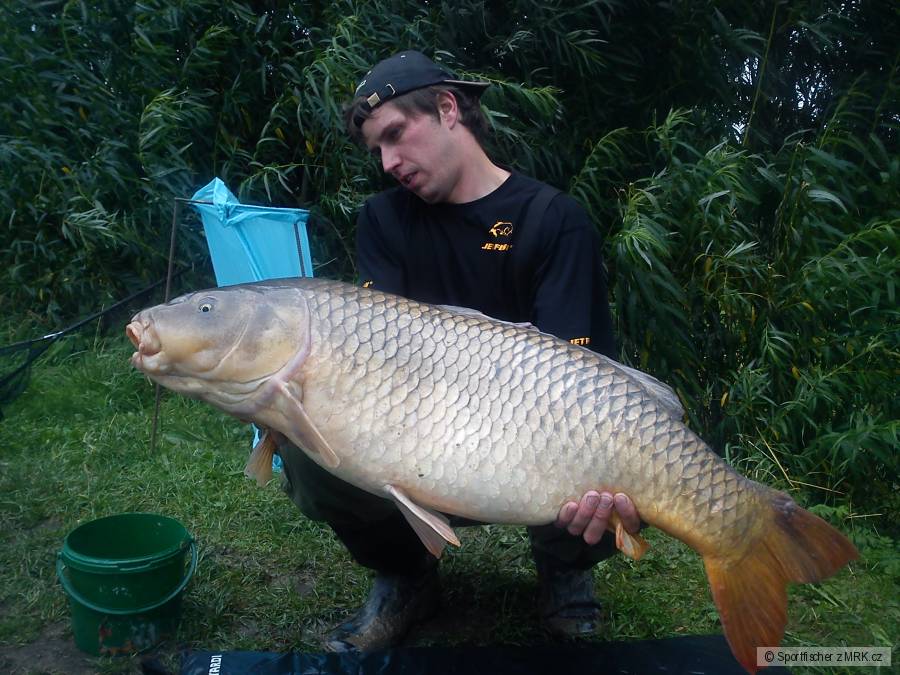 104cm 20,5Kg