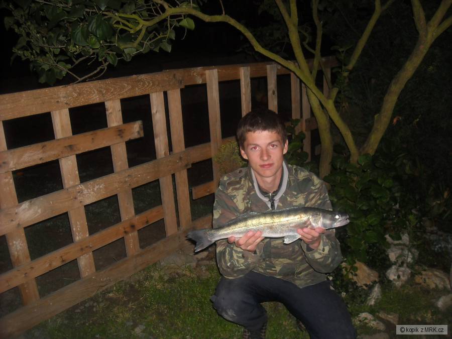 candoš 53cm