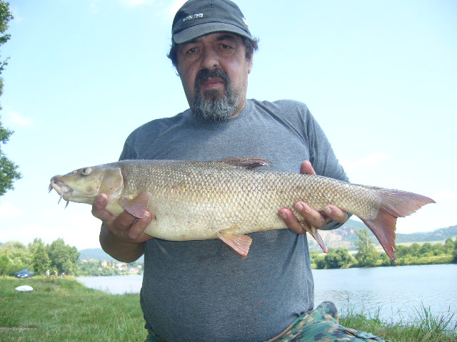 Parma 70 cm
