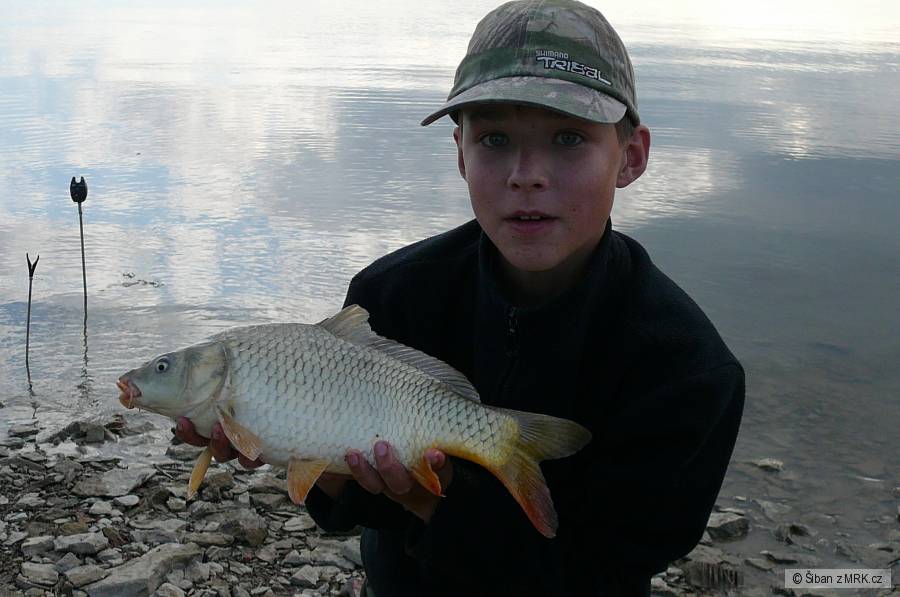 Rozkoš