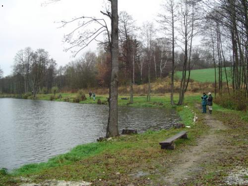 Prav� p�lka rybn�ku