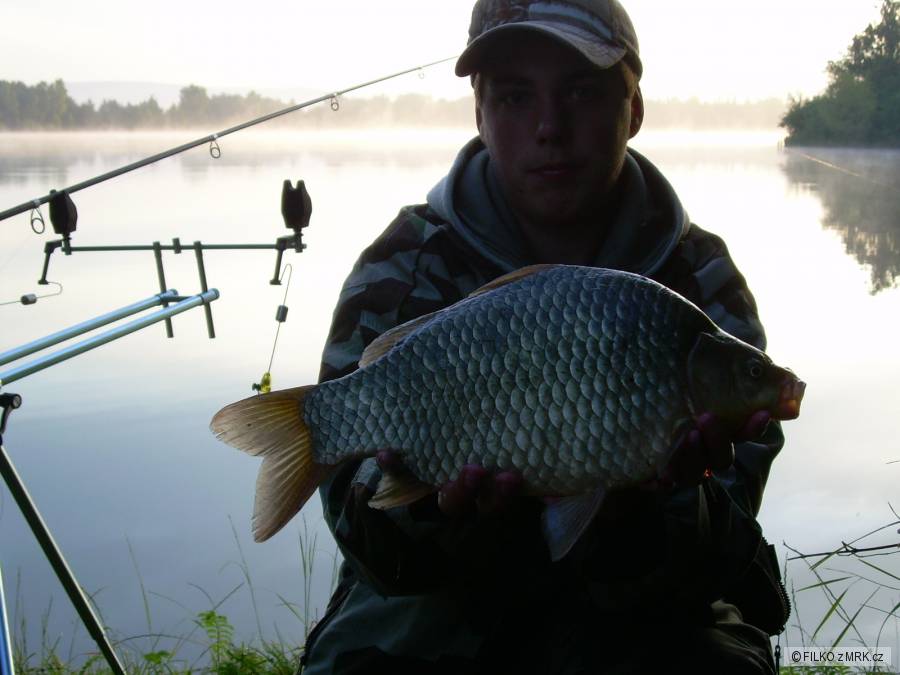Karas stříbřitý 46cm