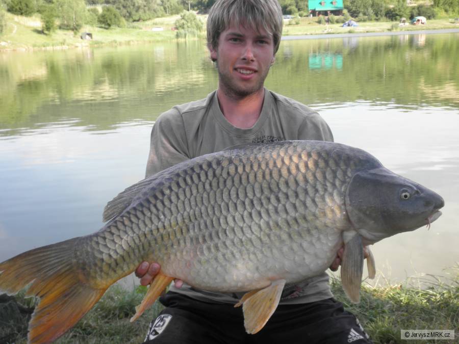 kapr 97cm a 16,5kg