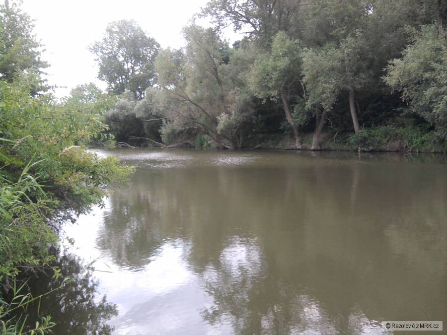 Dyje 4B