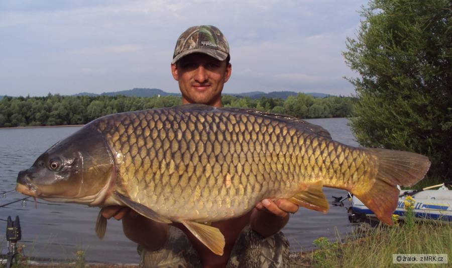šupináč