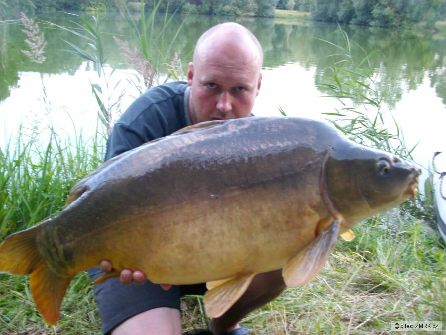CARP
