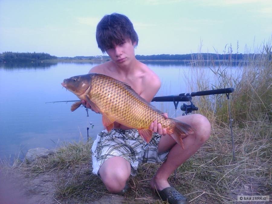 Stejný Kapr